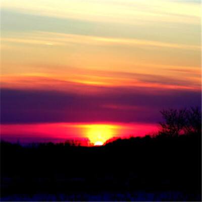 bob体体育app下载